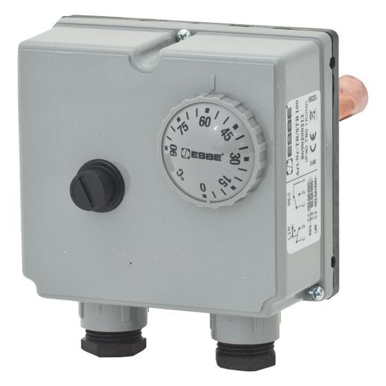 Esbe Tauchthermostat TIB121, 0-90 Grad Celsius, 100mm, 86902100