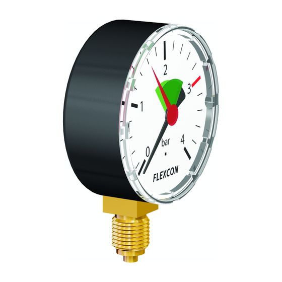 Flamco Manometer radial d. 63mm 1/4" 3 bar