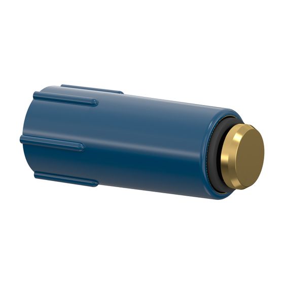 Flamco Baustopfen mit Messing-Gewinde, blau G 1/2