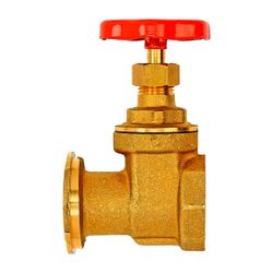 Flamco Pumpenschieber 1" Flansch x 1" Innengewinde,mit Schwerkraftbremse... FLAMCO-M68202 4016715010759 (Abb. 1)