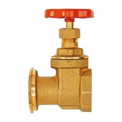 Flamco Pumpenschieber 1" Flansch x 1" Innengewinde... FLAMCO-M61340 4016715008138 (Abb. 1)