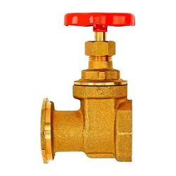 Flamco Pumpenschieber 1" Flansch x 1" Innengewinde,mit Schwerkraftbremse... FLAMCO-M68202 4016715010759 (Abb. 1)