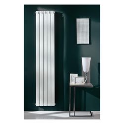 Fondital Aluminium-Heizkörper Garda Dual 80 1000-6, 1066x480x80mm, 1.140W, Aluminium... FONDITAL-82G01406 8015040019662 (Abb. 1)