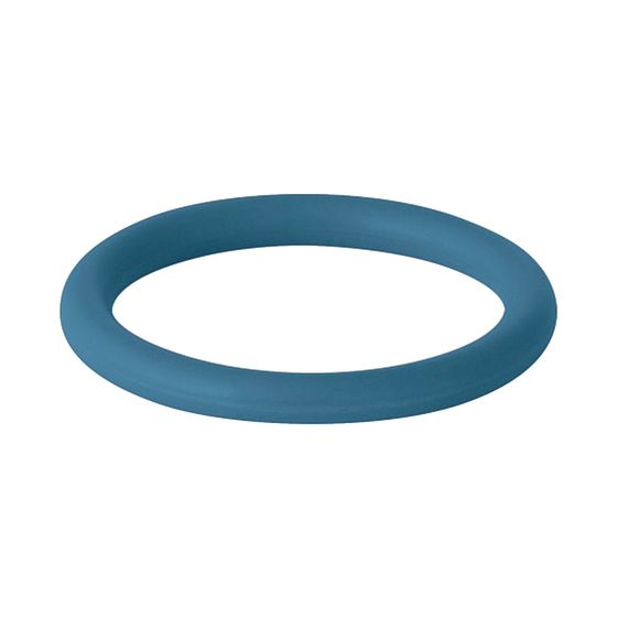 Geberit Mapress Dichtring FKM Außendurchmesser 22mm, Blau