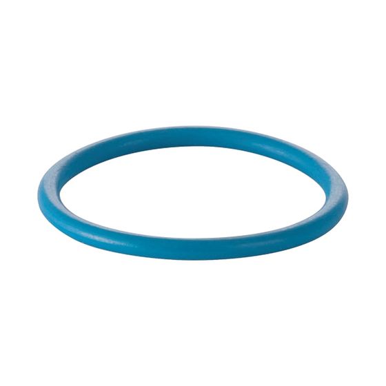 Geberit O-Ring für Duscharm für Geberit AquaClean 8000/8000plus