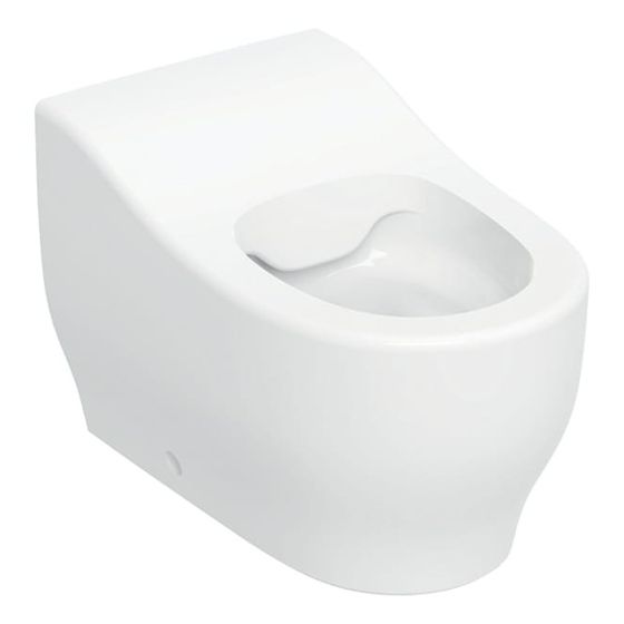 Geberit Bambini Stand-WC für Kleinkinder Tiefspüler Rimfree, Höhe 24cm, Weiß