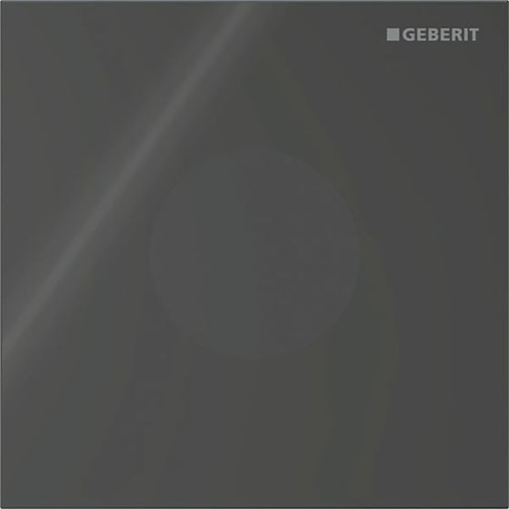 Geberit Drückerplatte für Typ 40 Urinalsteuerung, rund, 12,5x12,5x0,4cm, Schwarz, 246120SJ1