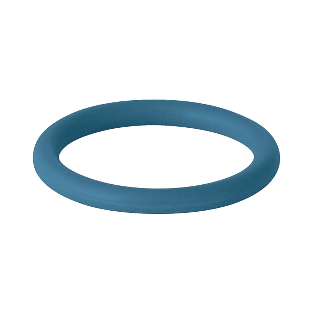 Geberit Mapress Dichtring FKM Außendurchmesser 54mm, Blau... GEBERIT-90888 4024723908883 (Abb. 1)