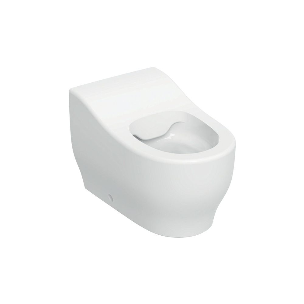 Geberit Bambini Stand-WC für Kleinkinder Tiefspüler Rimfree, Höhe 24cm, Weiß, KeraTe... GEBERIT-502965008 4025410104878 (Abb. 2)