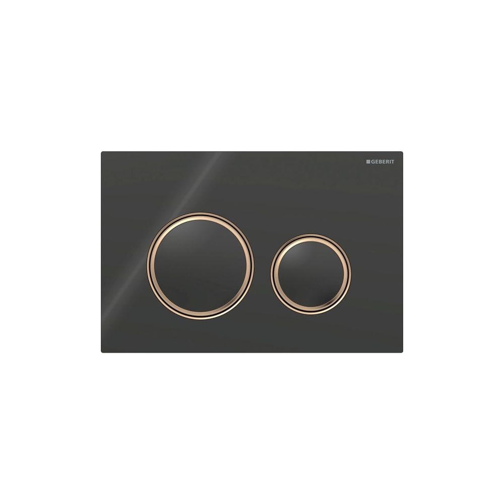 Geberit Sigma 50 (ex Sigma 21) Drückerplatte, 2-Mengen-Spülung, Round, Schwarz, Meta... GEBERIT-115650SJ1 4025410759054 (Abb. 3)