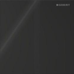 Geberit Betätigungsplatte für Urinalsteuerung Typ 40, eckig, 12,5x12,5x0,4cm, Schwar... GEBERIT-246121SJ1 4064746043932 (Abb. 1)