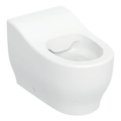 Geberit Bambini Stand-WC für Kleinkinder Tiefspüler Rimfree, Höhe 24cm, Weiß, KeraTe... GEBERIT-502965008 4025410104878 (Abb. 1)