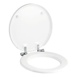 Geberit Preciosa WC-Sitz ohne Absenkautomatik, Weiß/glänzend... GEBERIT-571180000 4022009220117 (Abb. 1)