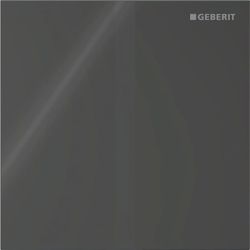 Geberit Betätigungsplatte für Urinalsteuerung Typ 40, eckig, 12,5x12,5x0,4cm, Schwar... GEBERIT-246121SJ1 4064746043932 (Abb. 1)