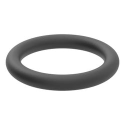 Geberit O-Ring für Panzerschlauch, aus EPDM... GEBERIT-241487001 4025416812500 (Abb. 1)