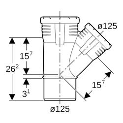 Geberit Silent-Pro Abzweig 45 Grad d 125mm, d1 125mm... GEBERIT-393636141 4025416447603 (Abb. 1)