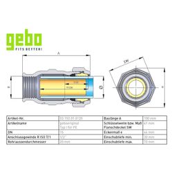 Gebo Original Temperguss-Klemmverbinder 153 Typ I, 1/2" x 20mm, Messing, für PE-Ro... GEBO-03.153.01.0120 4019576003403 (Abb. 1)