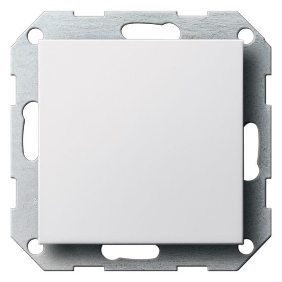 Gira Blindabdeckung System 55, Tragring, Reinweiß, 026803