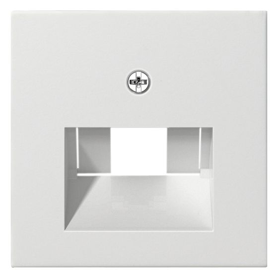 Gira Zentraleinsatz System 55 für UAE/IAE-Anschluss, Reinweiß glänzend, 027003