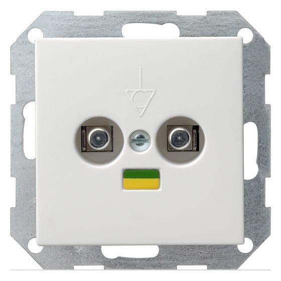 Gira Potenzialausgleich-Dose System 55, 2-fach, Reinweiß, 040503