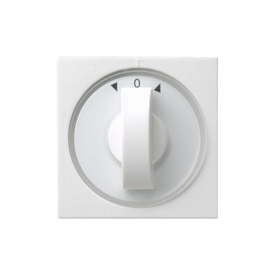 Gira Zentralplatte mit Knebel System 55, Reinweiß, 066603