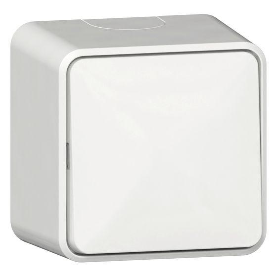 Gira Wippschalter Aus/Wechsel mit Montageplatte, 10AX 250V, Thermoplast, Reinweiß, 310613