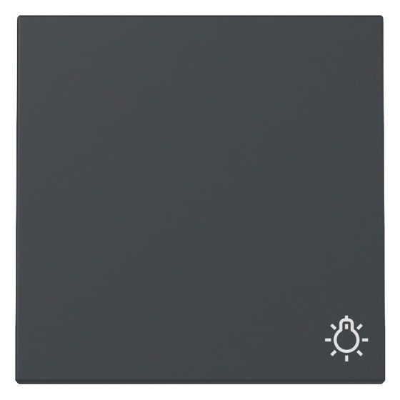 Gira Wippe System 55, Symbol Licht, Anthrazit, 328528