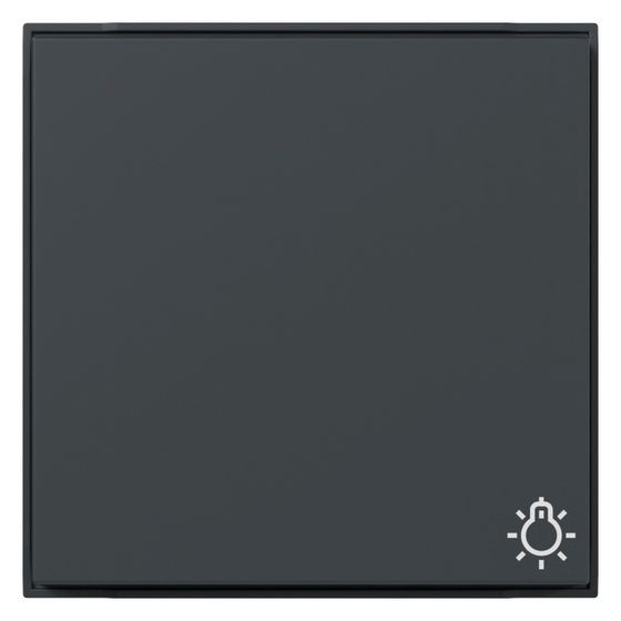 Gira Wippe TX_44, Symbol Licht, IP44, Anthrazit, 328567