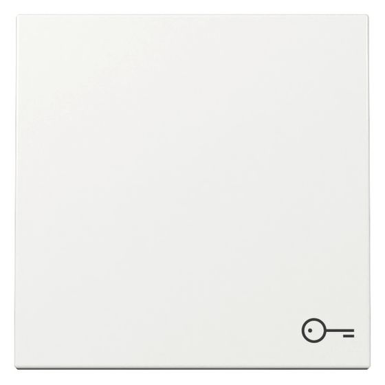 Gira Wippe System 55, Symbol Tür, Reinweiß, 328703