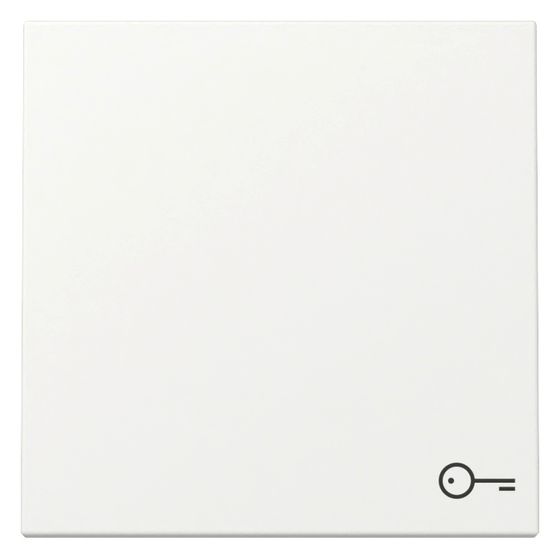 Gira Wippe System 55, Symbol Tür, Reinweiß seidenmatt, 328727