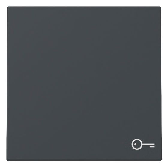 Gira Wippe System 55, Symbol Tür, Anthrazit, 328728