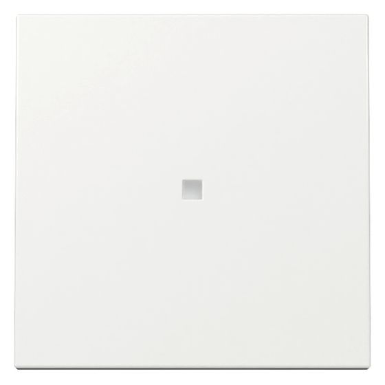 Gira Wippe System 55, Kontrollfenster, Reinweiß, 329003