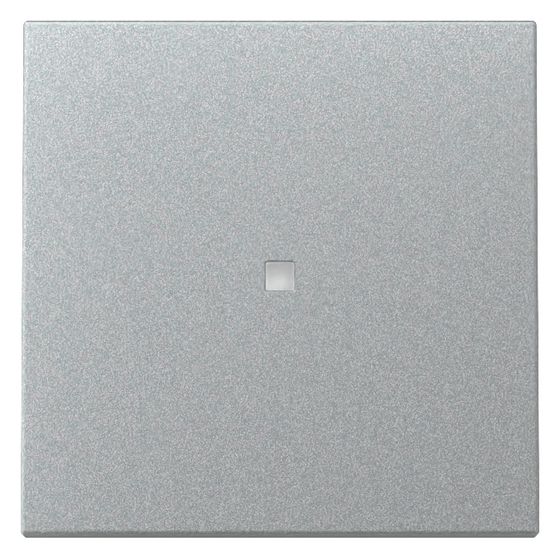 Gira Wippe System 55, Kontrollfenster, Alu, 329026