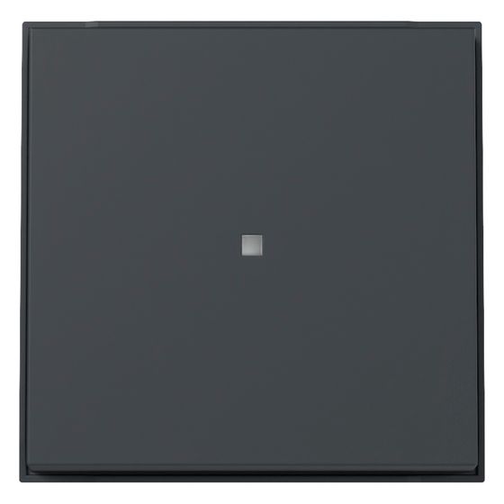 Gira Wippe Kontrollfenster TX_44, IP44, Thermoplast, Anthrazit, 329067
