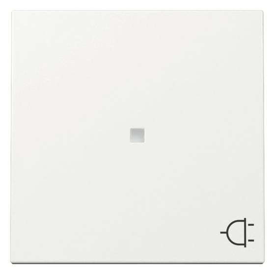 Gira Wippe System 55, Kontrollfenster, Symbol, Reinweiß glänzend, 329103