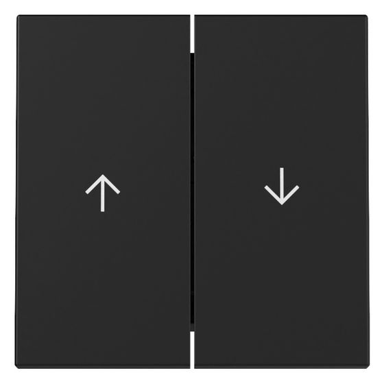 Gira Wippe System 55, 2-fach, Pfeilsymbol, Schwarz matt, 3294005
