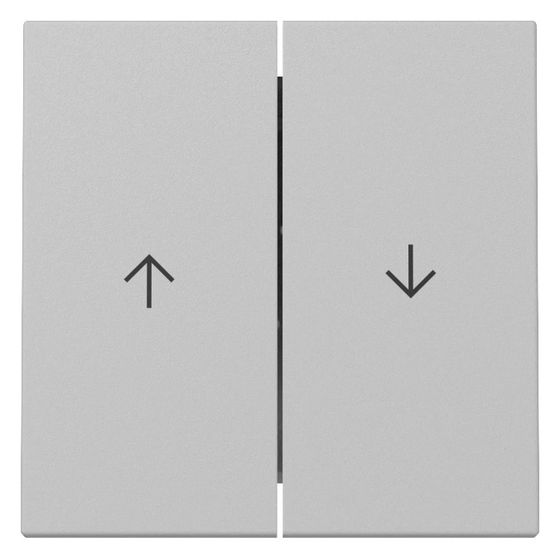 Gira Wippe System 55, 2-fach, Pfeilsymbol, Grau matt, 3294015
