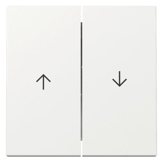 Gira Wippe 2-fach System 55, Pfeilsymbol, Reinweiß, 329403