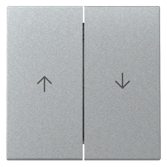 Gira Wippe System 55 2-fach Pfeilsymbol, Alu, 329426