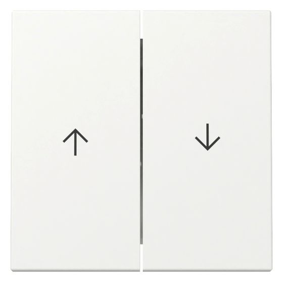 Gira Wippe 2-fach System 55, Pfeilsymbol, Reinweiß seidenmatt, 329427