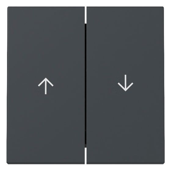 Gira Wippe 2-fach System 55 mit Pfeilsymbol, Anthrazit, 329428
