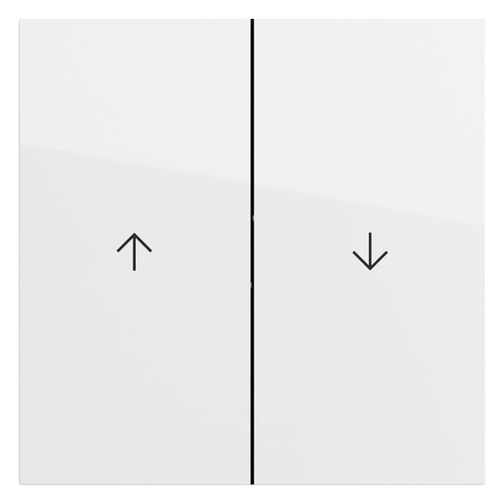 Gira Wippe 2-fach Pfeil Flächenschalter, Reinweiß glänzend, 329470