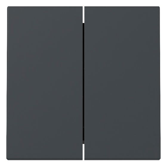 Gira Wippe 2-fach System 55, Anthrazit, 329528