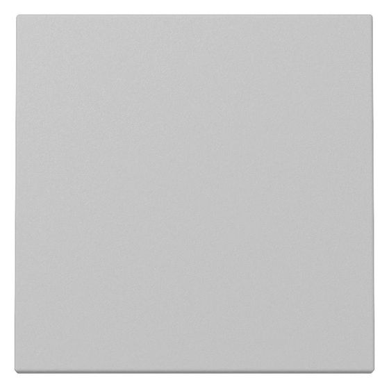 Gira Wippe System 55, Grau matt, 3296015