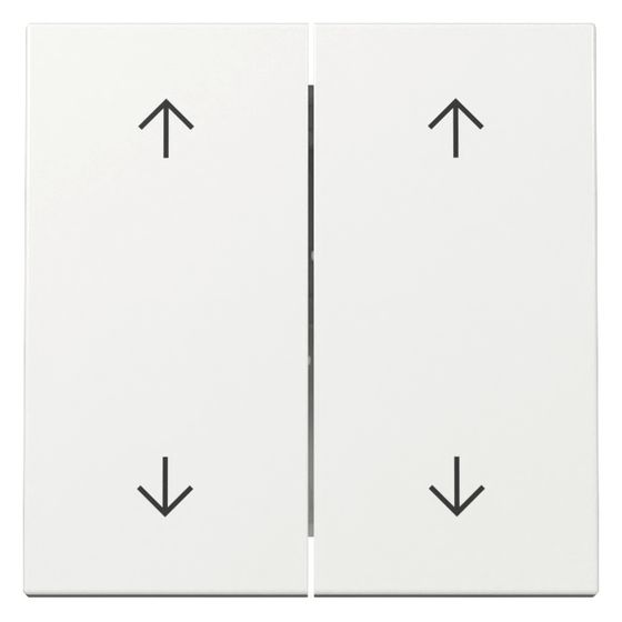 Gira Wippe 2-fach System 55, Pfeilsymbole, Reinweiß glänzend, 329703
