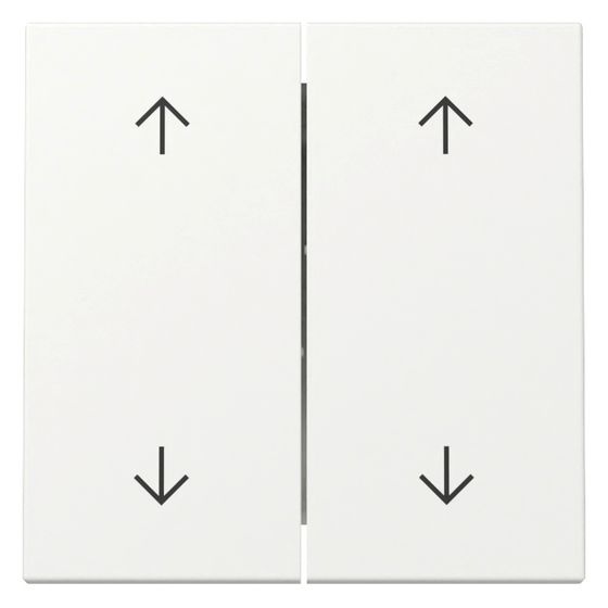 Gira Wippe System 55, 2-fach, Pfeilsymbole, Reinweiß seidenmatt, 329727