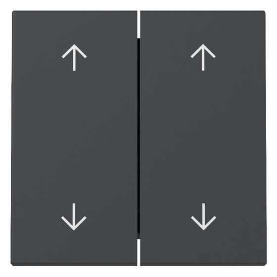 Gira Wippe 2-fach System 55, Pfeilsymbole, Anthrazit, 329728