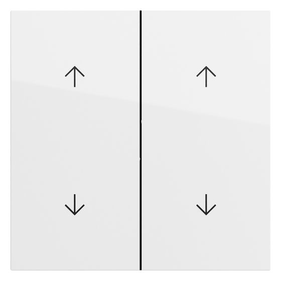 Gira Wippe 2-fach, Pfeilsymbole, Reinweiß glänzend, 329770