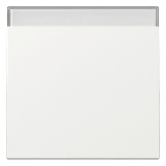 Gira Wippe BSF System 55, Reinweiß glänzend, 329903