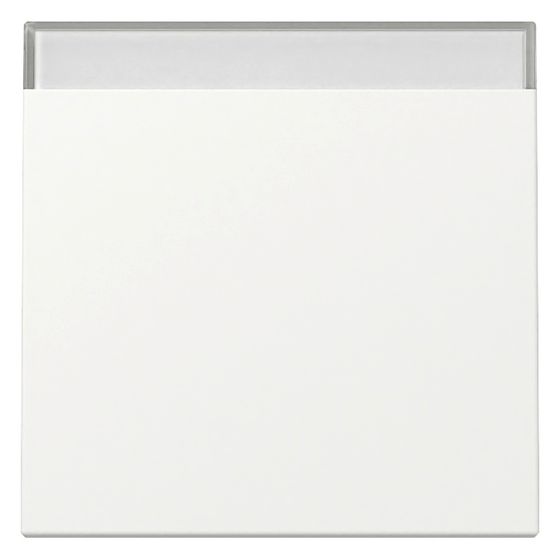 Gira Wippe System 55 mit Beschriftungsfeld, Reinweiß seidenmatt, 329927